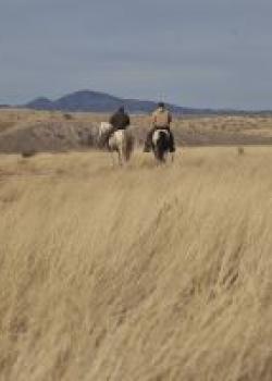 Horseback riders explore Las Cienegas NCA