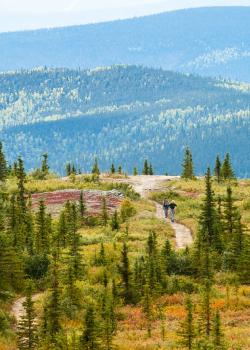 Two hikers enjoy early fall colors on the Summit Trail near the Wickersham Dome Trailhead, White Mountains National Recreation Area, Alaska.