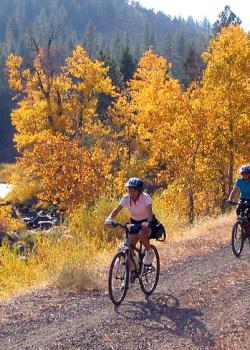 A family cycles next to a forest stream under Fall weather.