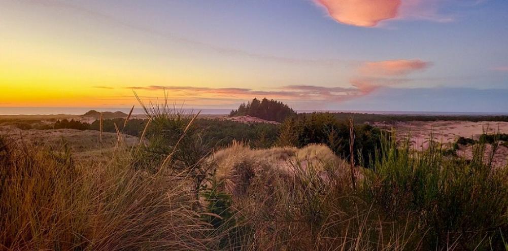 sunset on sand dunes from the North Spit of Coos Bay on the Oregon Coast