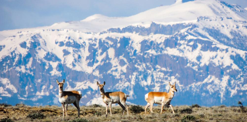 Wyoming  Bureau of Land Management