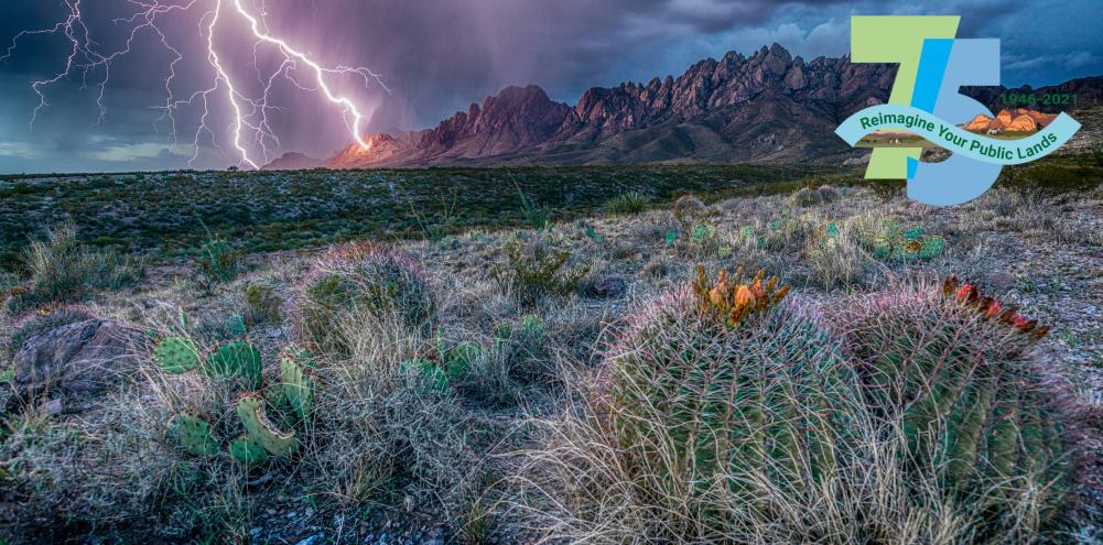 A dramatic lightning strike highlights the organ mountains in the background with a pair of cacti in the foreground of the desert landscape 