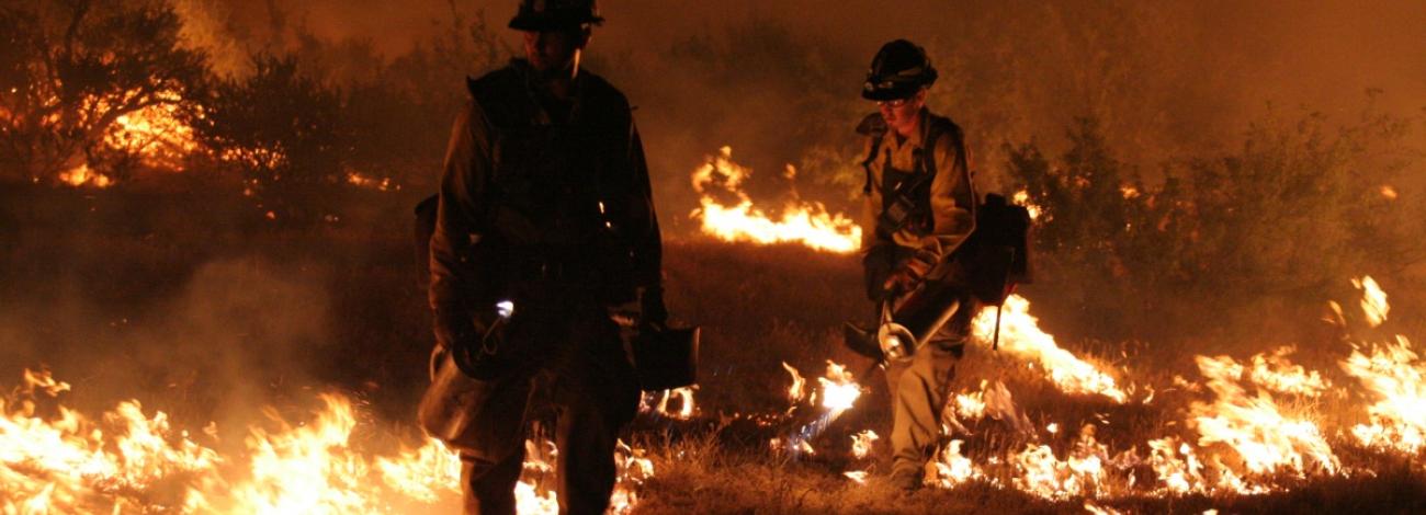Two firefighters with drip torches burning grass and brush at night