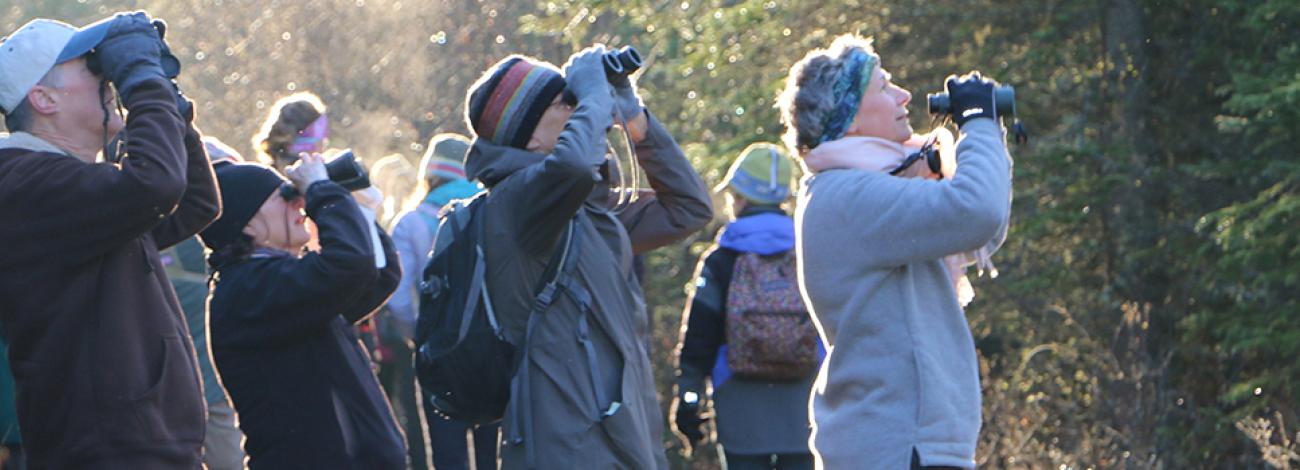 Participants in an early morning bird walk watching birds with binoculars