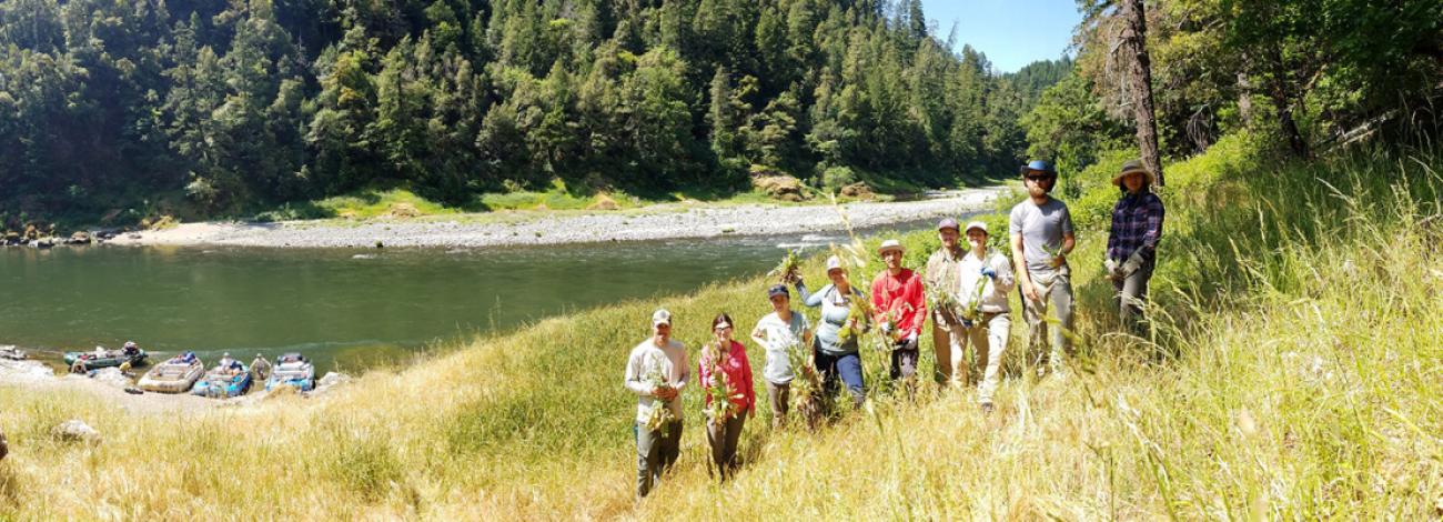 Botanists from the BLM and U.S. Forest Service stand along the Rogue River holding invasive weeds they pulled