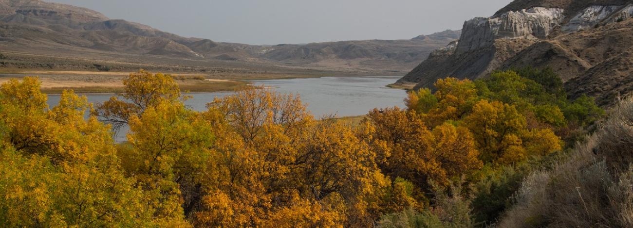 Fall colors in Upper Missouri River Breaks National Monument with the river in the background. Photo by Bob Wick.