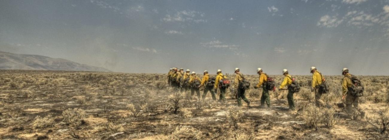 Just North of McDermitt, Oregon, Fire Crew 7 marches into the fire zone to cut line and protect and area of rangeland that has not been burned by the Long Draw Fire.