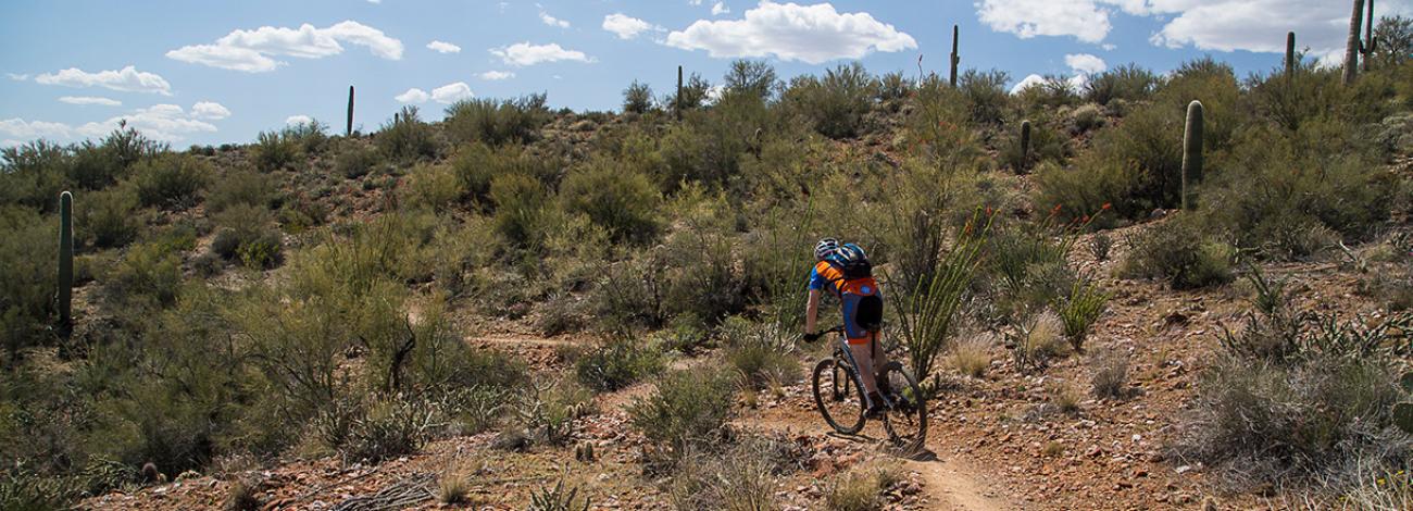 a mountain biker on a rocky trail in a desert landscape