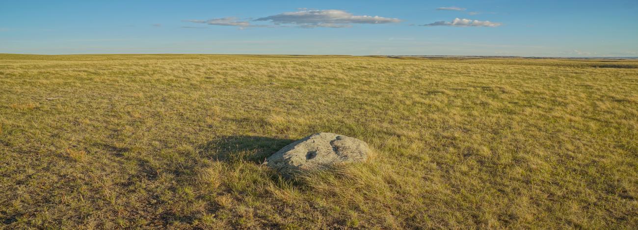 wide open plains with boulder in foreground and cloud in sky above