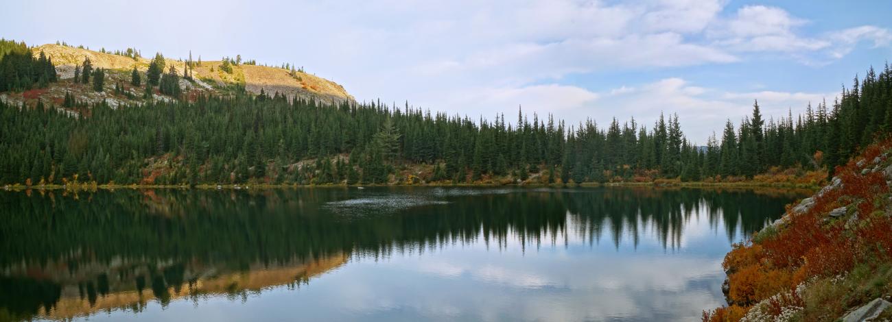 lake with reflection of conifer trees with a blue sky and scattered clouds