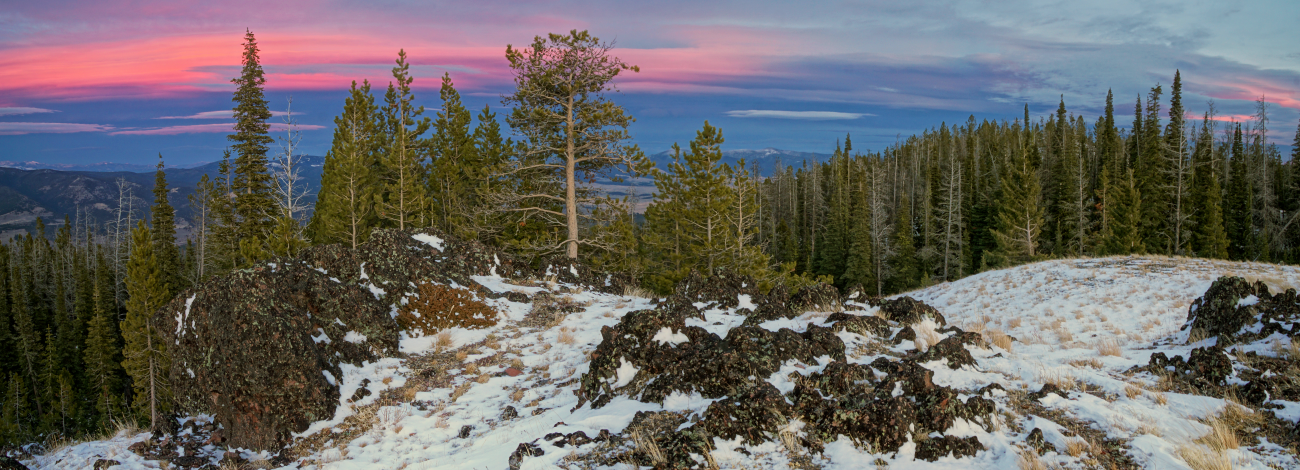 purple and pink skies surrounded by conifers on a snowy summit