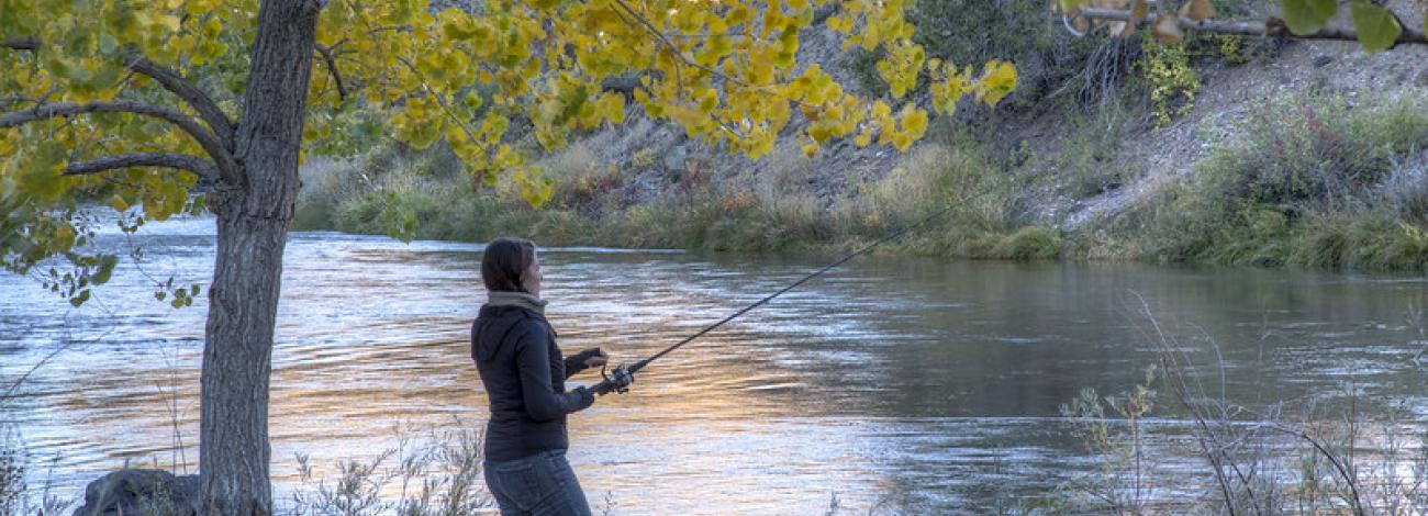 An angler casts from the wooded bank of the Rio Grande del Norte River in New Mexico