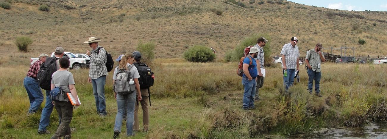 National Riparian Service Team