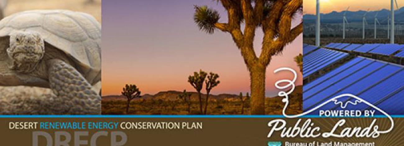 A collage of photos representing wildlife - desert tortoise, conservation lands - Joshua trees, and renewable energy - solar panels and wind turbines. Text reads Desert Renewable Energy Conservtion Plan, DRECP.org, Powered by Public Lands, DRECP