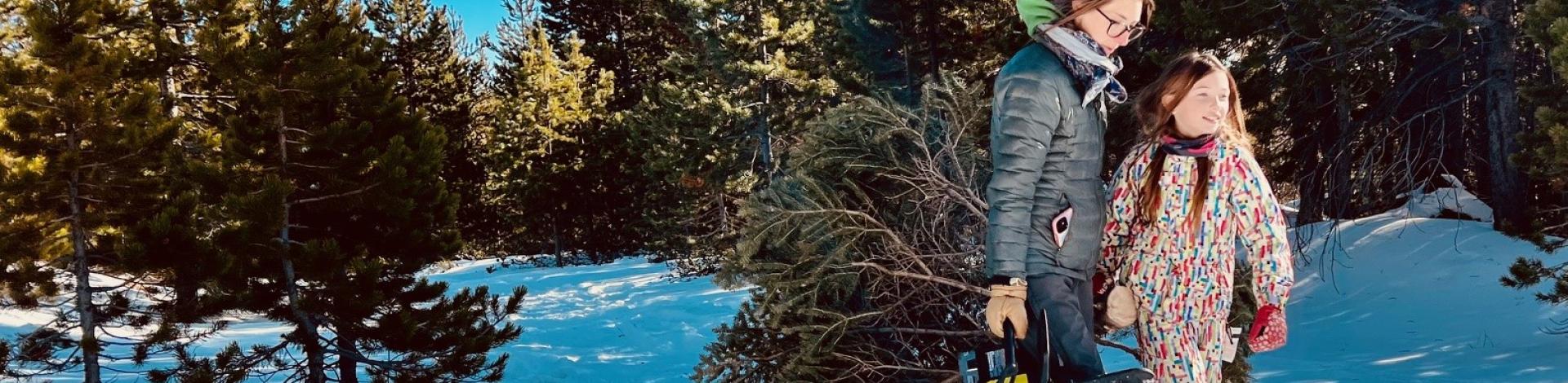 A woman holding a chainsaw and a girl drag a freshly cut pine tree through a snowy wooded landscape.
