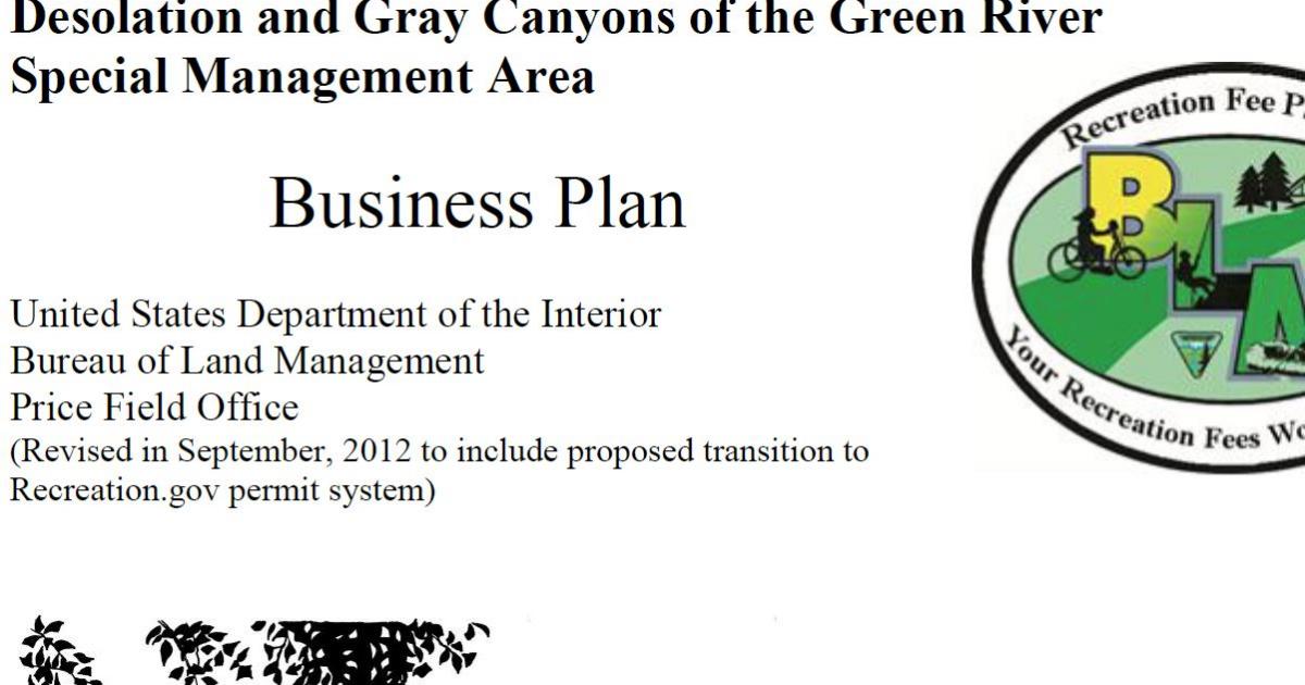 Professional business plan example image