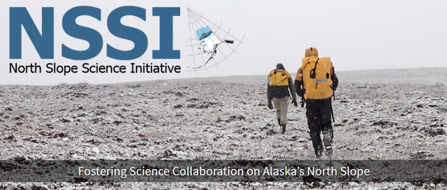 NSSI home page screen shot