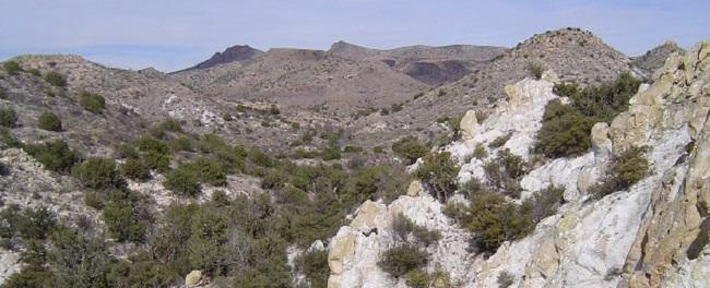 The desert plants and landscape within Baker Canyons Wilderness Study Area in Arizona.  Photo by Ken Mahoney.