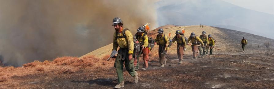 Jackson Fire Crew walking back to camp after working on fire