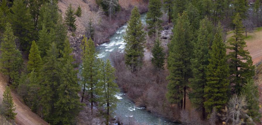 Lower White River Wilderness Area