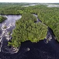 A river flowing around a forested island in that river
