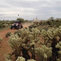 OHV driving on a dirt road with cholla cactus in the foreground and saguaro cactus in the background