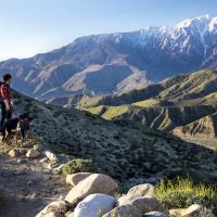 Visitor hiking on a trail with two dogs overlooks mountain landscape