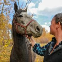 Trainer works with a BLM-adopted wild horse