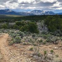 A trail in the Horsethief Mesa travel management area in New Mexico.