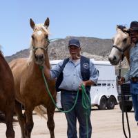 Three horses and their handlers from California Polytechnic State University
