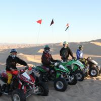 A foursome of quad motorbikes posing in front of a dune