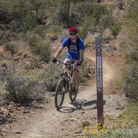 a cyclist on a desert trail