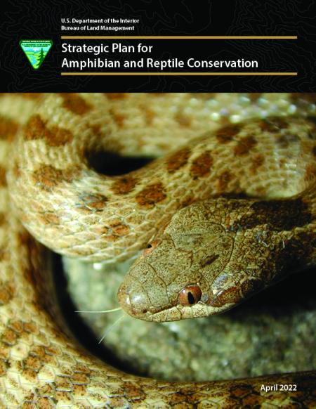 Strategic Plan for Amphibian and Reptile Conservation