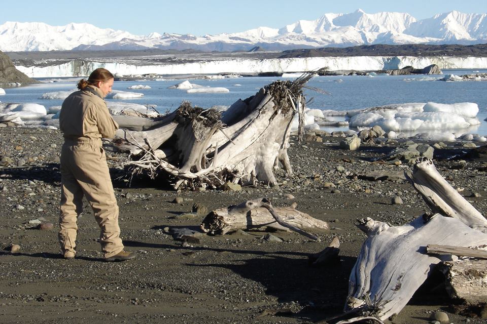 shoreline of Bering Glacier Research Natural Area-ACEC, Alaska BLM photo