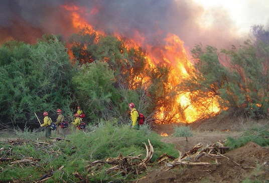 Fire along the Colorado River