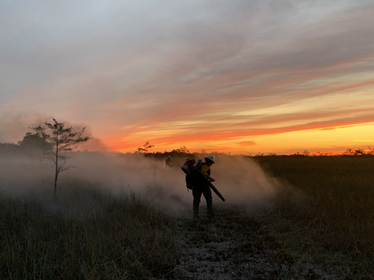 Cypress Fire Story