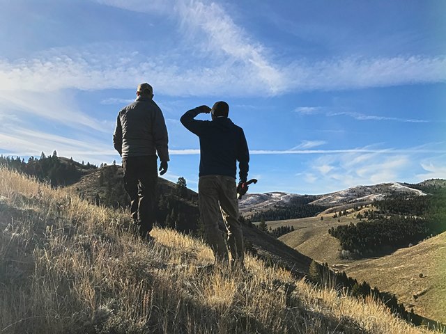 Photo of individuals standing on hill looking at Christmas Trees