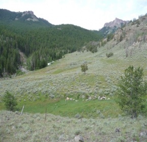 Image shows the rocky area on the mountain, the grass has flourished where the dirt used to be, and the green plants continue to grow under a clear sky. 