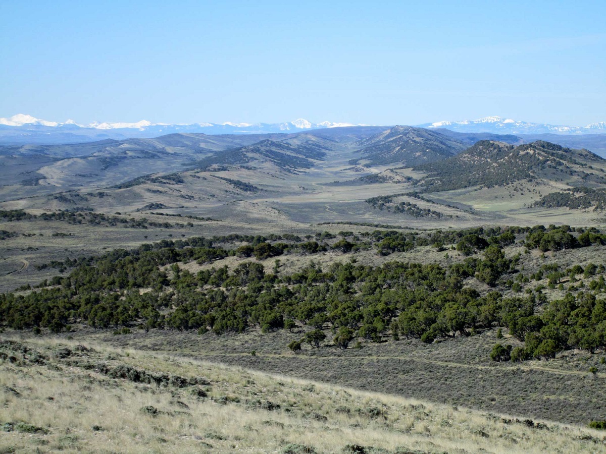 A landscape view of a large valley with mountains in the background.