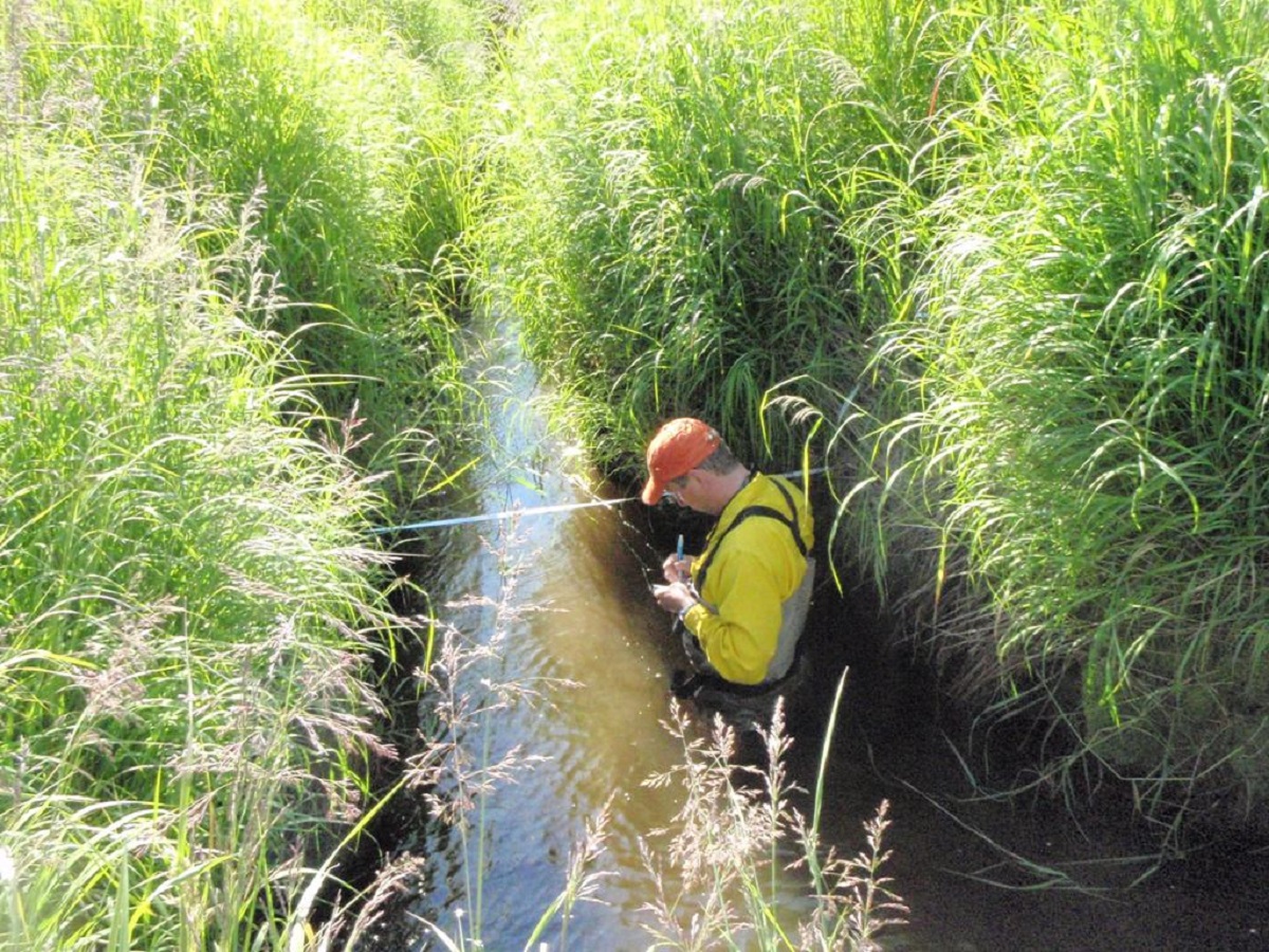 BLM fisheries biologist waist deep in stream conducting anadromous fish surveys in western Alaska.