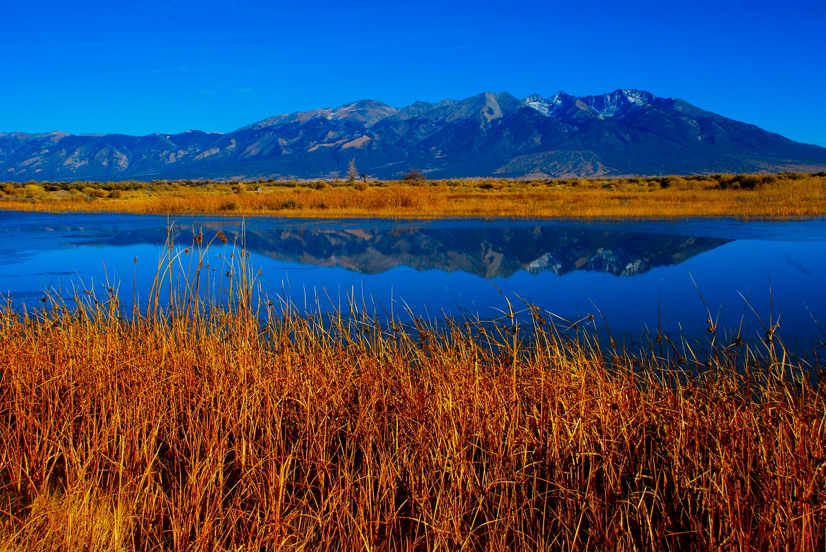 View of Blanca Peak from Blanca Wetlands. 
