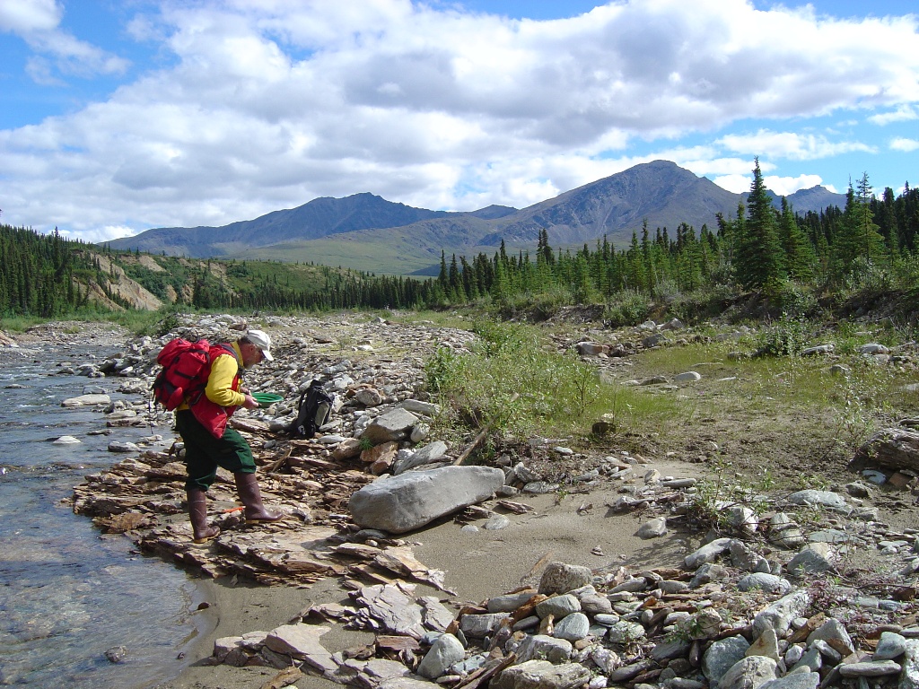 Geologist in Alaska checking a stream for gold by doing a quick gold panning.