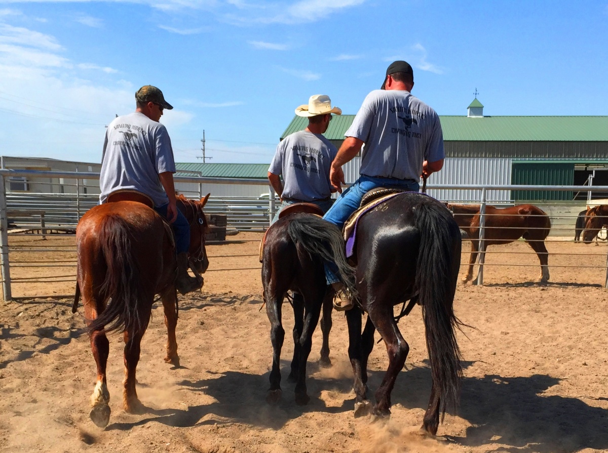 The first ride for the middle of three horses at Hutchinson Correctional Center.