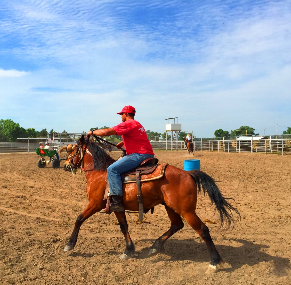 Inmate loping horse while adopters drive wagon pulled by a team trained by Hutchinson Correctional Facility. 