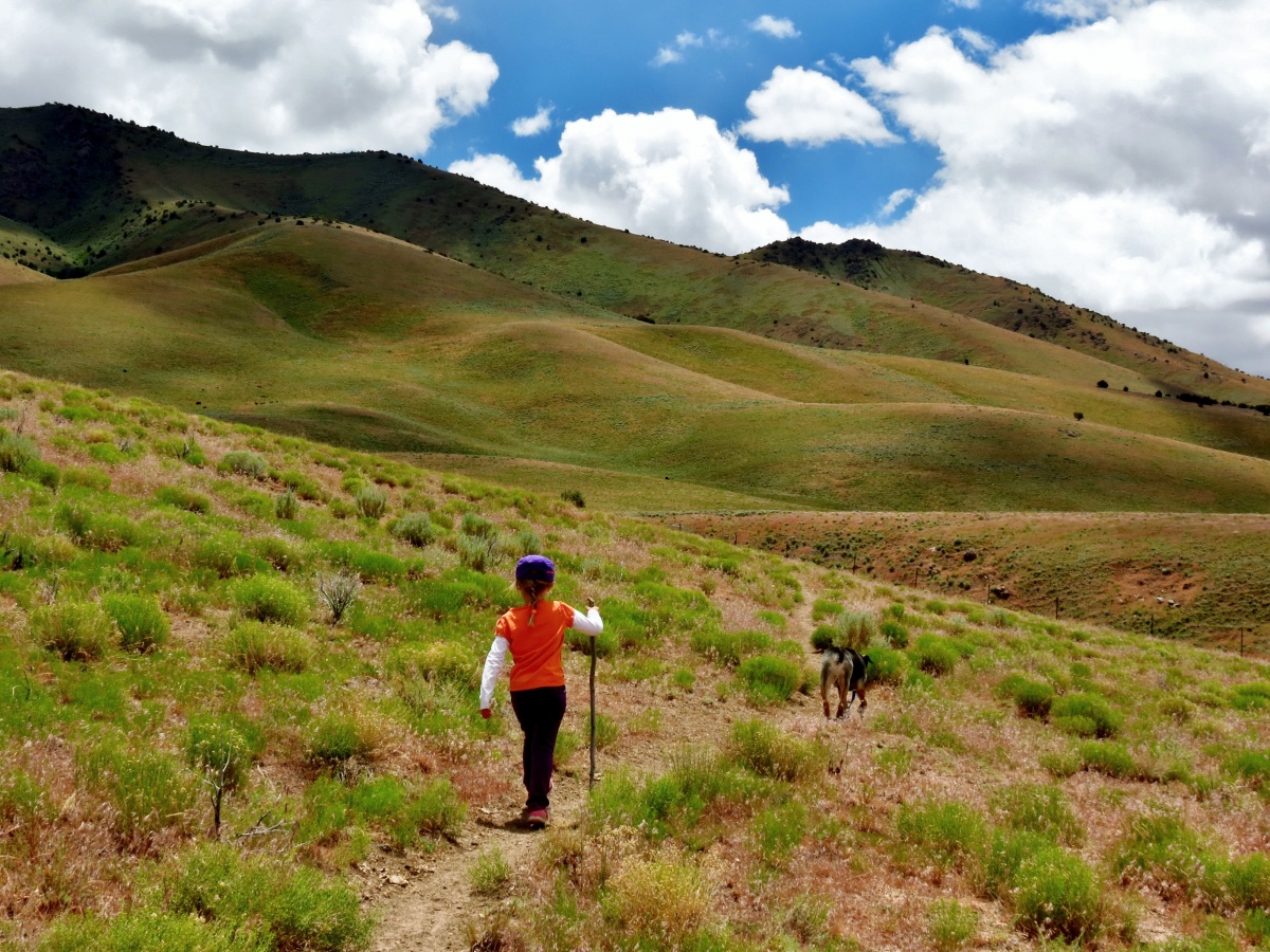 A young girl and a dog hike across a green mountainside.