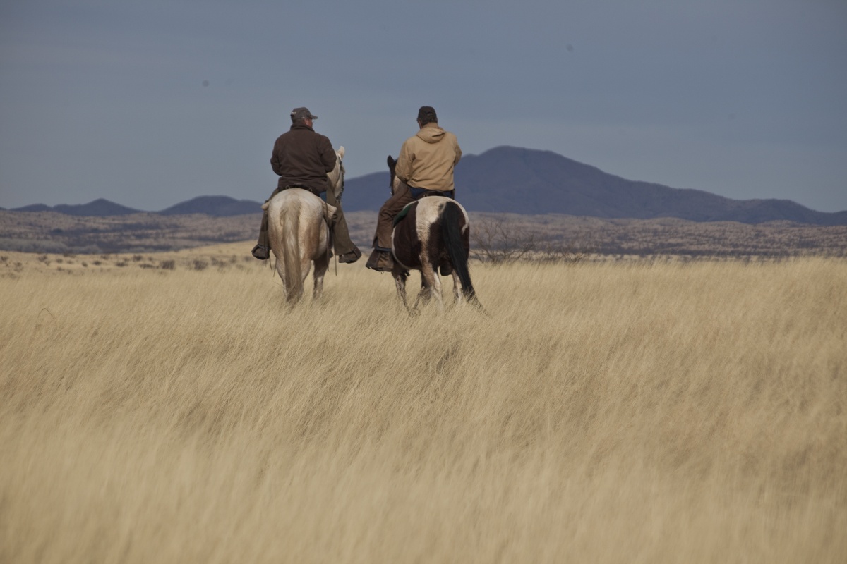 Two men admire the scenery of the Gila Box Riparian National Conservation area