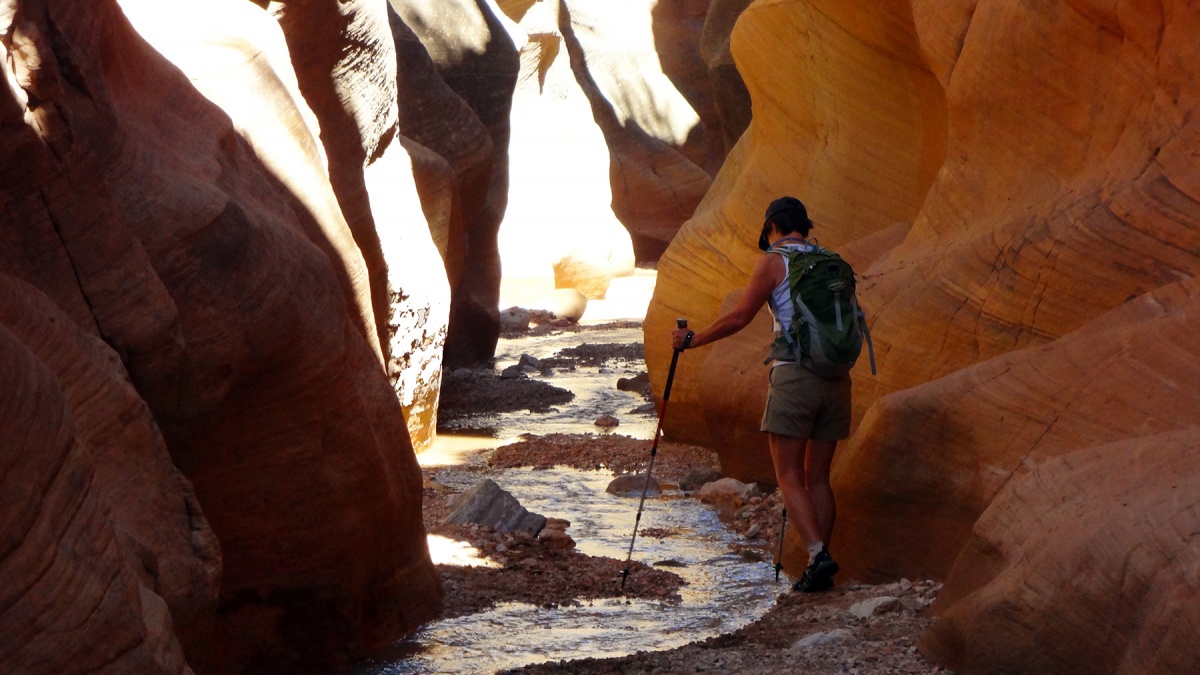A woman hikes through Willis Creek Canyon in the GSENM. 