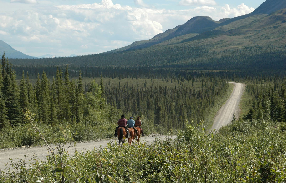 Group horseback riding along the Denali Highway in Alaska