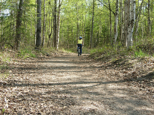 Woman mountain biking on Campbell Tract trails in the summer