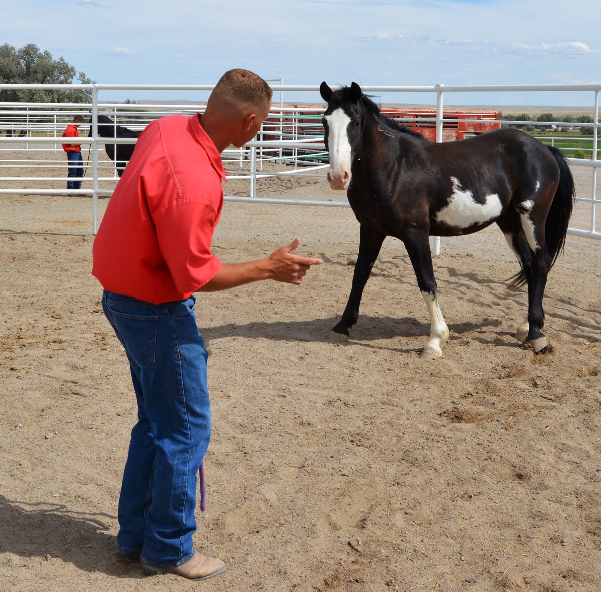 Trainer with a horse.